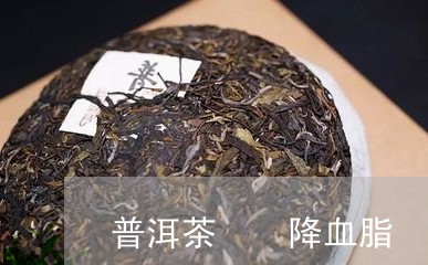 普洱茶  降血脂/2023041197139